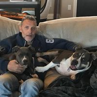 Chris Diener's profile image