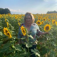 Kathy Sokoly Chelst's profile image