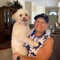 Lisa Pershan's profile image