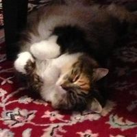 Wanda Klimkiewicz's profile image
