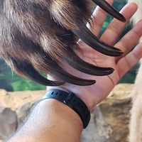 Javier Perez's profile image