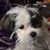 Rachel Schnitzer's profile image