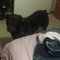 Chandler L.'s profile image