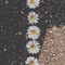 Stella P.'s profile image