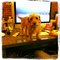 Jenny B.'s profile image