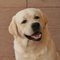 Diane M.'s profile image