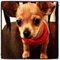 Jennifer P.'s profile image