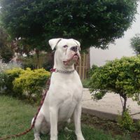 Ana Cook Sanchez's profile image