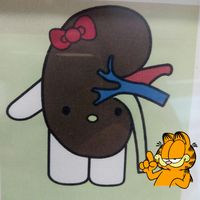 Nona Rosas's profile image