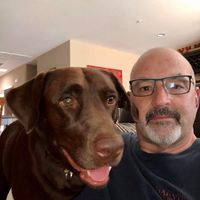 Jay Iacone's profile image