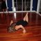 Amanda Z.'s profile image