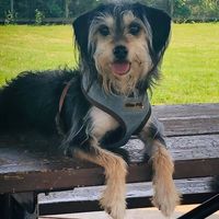 Sandra Hurlburt's profile image