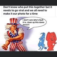 Thomas Todd's profile image