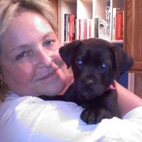 Lynn Chabot's profile image