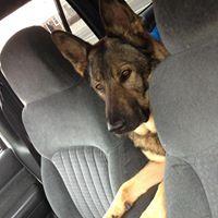 Mia Followell's profile image