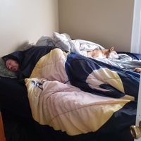 King Steven Hebert's profile image