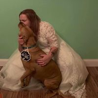 Steph Pettit's profile image