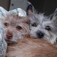 Jackie Leech's profile image