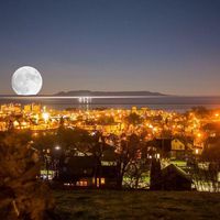 Sam Marinaro's profile image