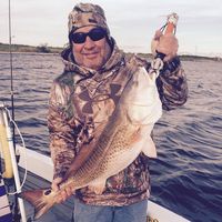 Michael Palmer Sr.'s profile image