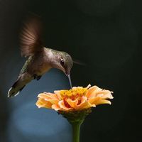 Kathie M. Bader's profile image