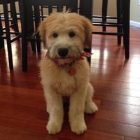 Karen Milton's profile image