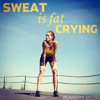 Tracy Seagren's profile image