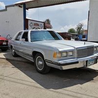 Melchor Gomez's profile image