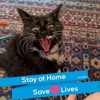Dawn Murt's profile image