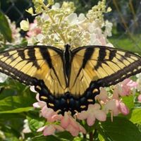 Kathy Harrison's profile image