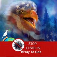 Todd Priest's profile image