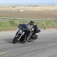 Lane Greenberg's profile image