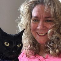 Leslie Fox's profile image