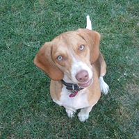 Janet Steininger's profile image