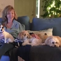 Donna Fite's profile image