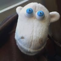 Kathy Andreasen's profile image
