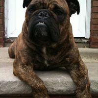 Ruth Rodriguez's profile image