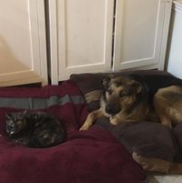 Andrew Lebman's profile image