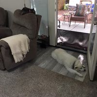 Judy Hawkins's profile image