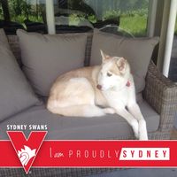 Adrienne Duarte's profile image