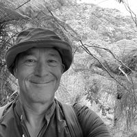 Robin Collis's profile image