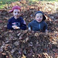 Cindy Carr's profile image