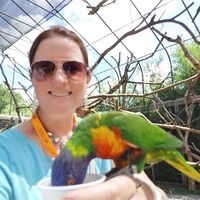 Amy Stevens's profile image