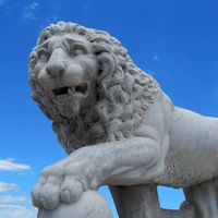 Anthony Polimeni's profile image