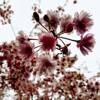 Heather Coyle's profile image