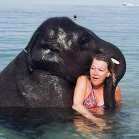 Lynn Gehlbach Phillips's profile image