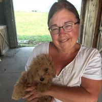 Darlene Keemer's profile image