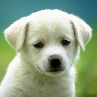 Evelyn Mitchell's profile image