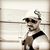 Shay Manae's profile image