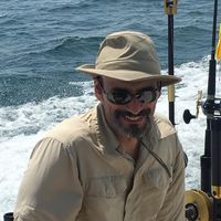 Louie Flores Arecco's profile image